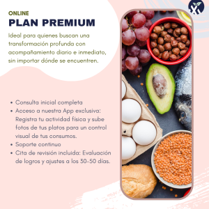 Plan Premium Online